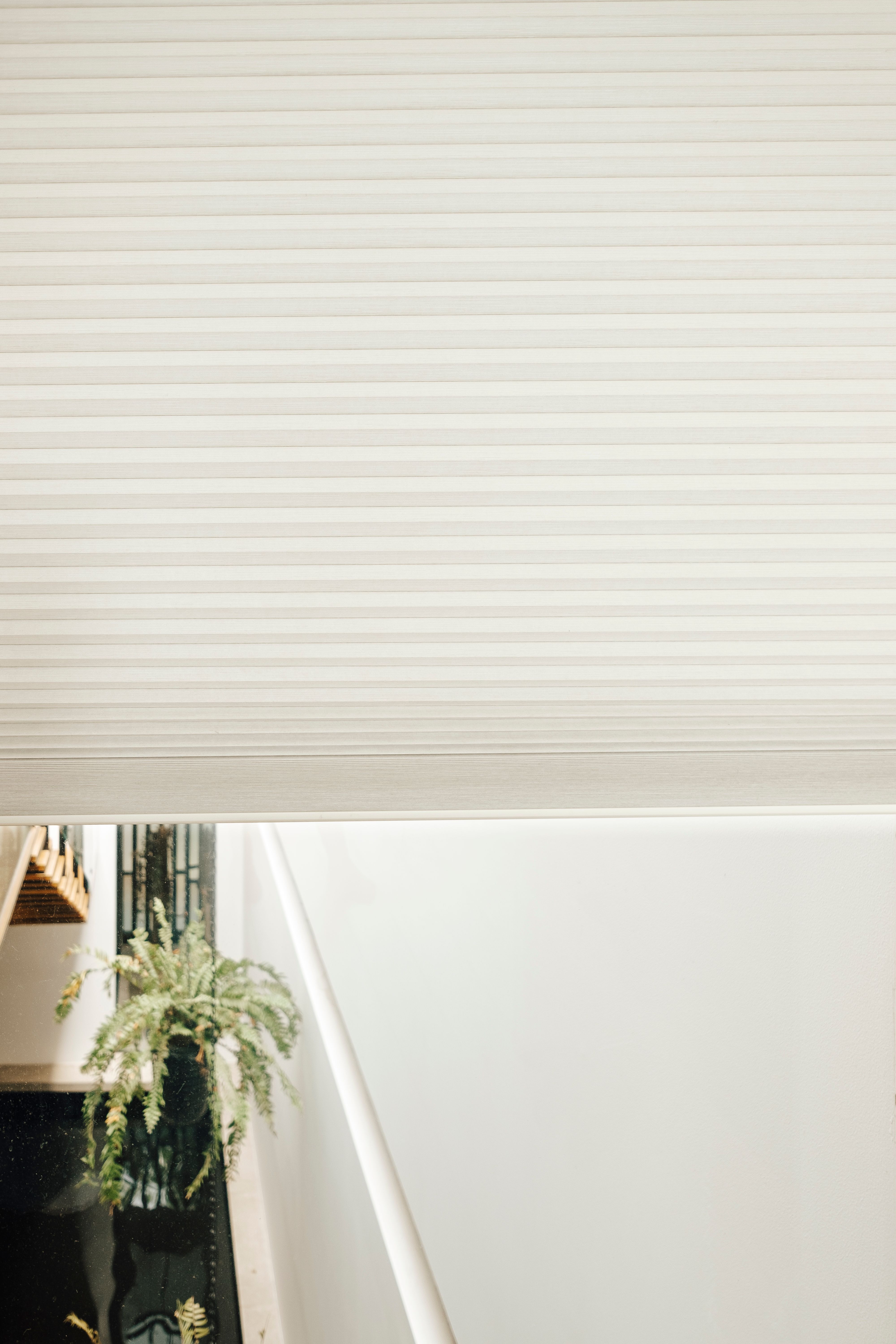 Product Image - 22776